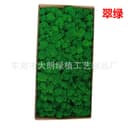 Green Moss