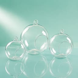 Hanging round glass Bottle