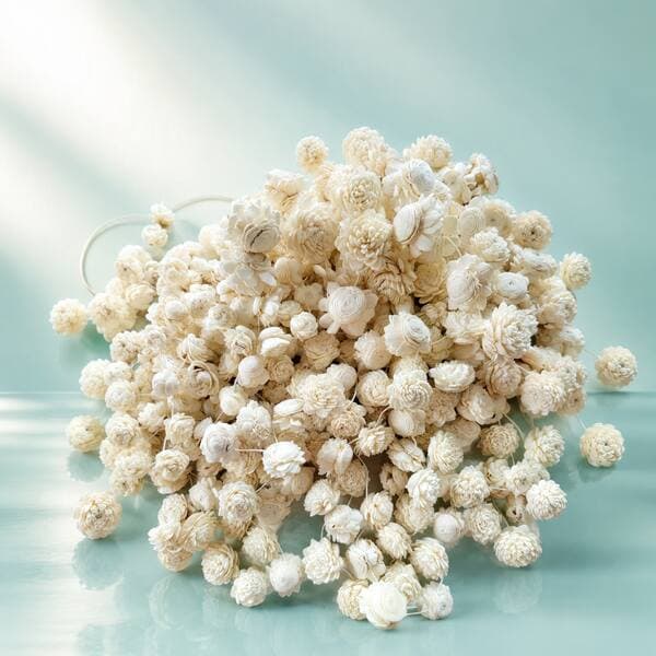 Sola Flower for Resin Art & Wedding Decoration DIY