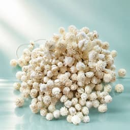 Sola Flower for Resin Art & Wedding Decoration DIY